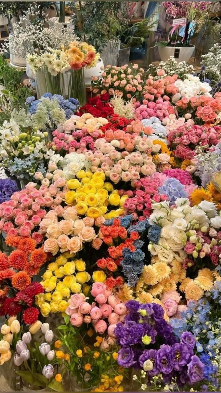 Velvet Sunset Embrace Flower Mix